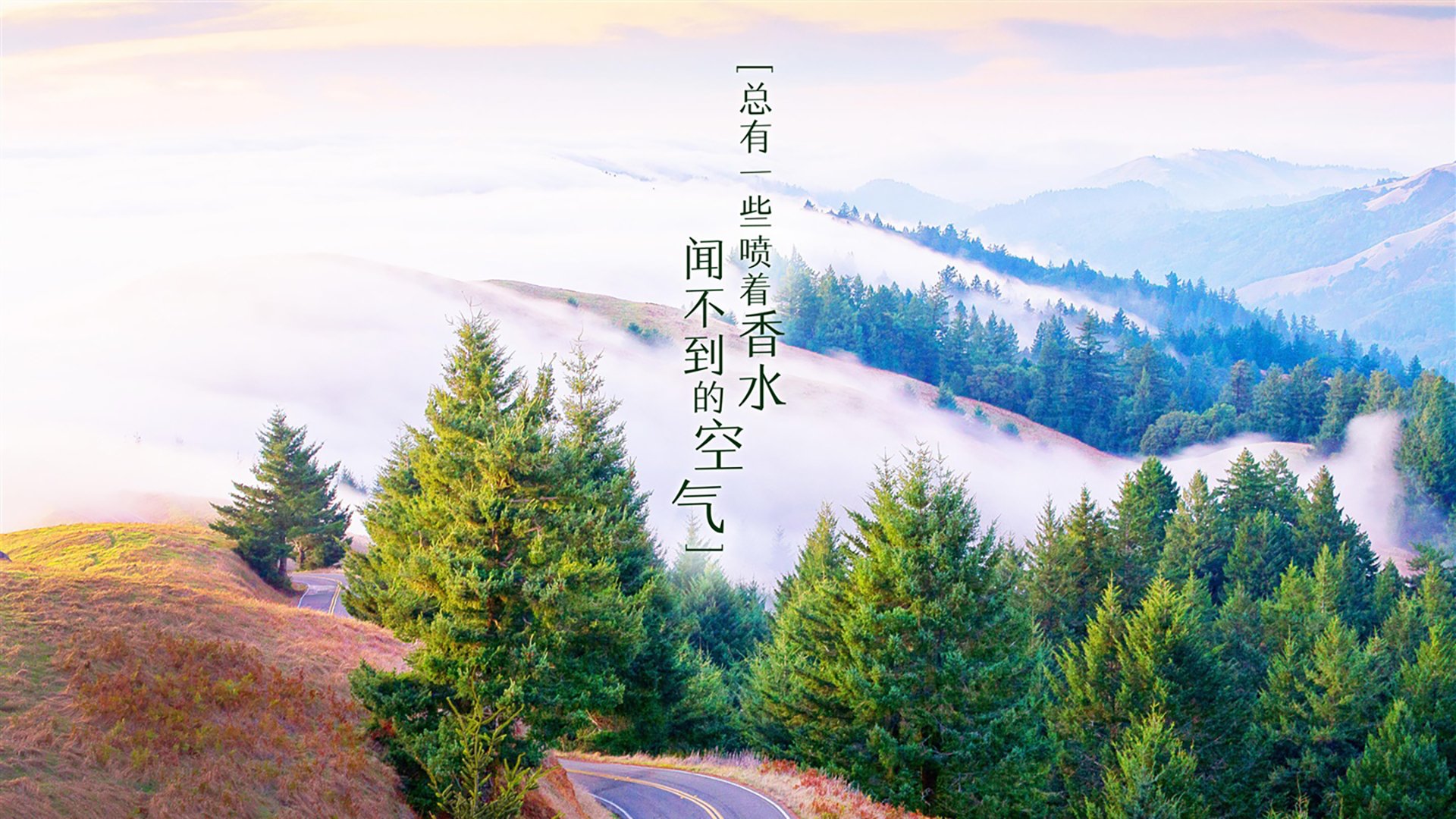 软件开发的程序员工资（软件开发的程序员工资怎么样）